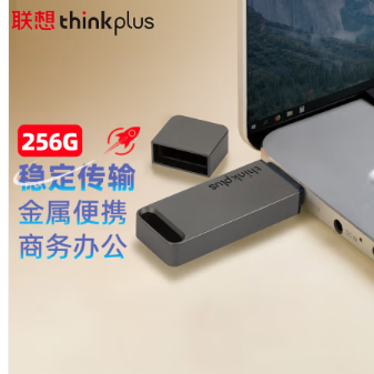 ThinkPlus联想 256GB USB3.1U盘 TU100系列 商务金属闪存优盘 灰色