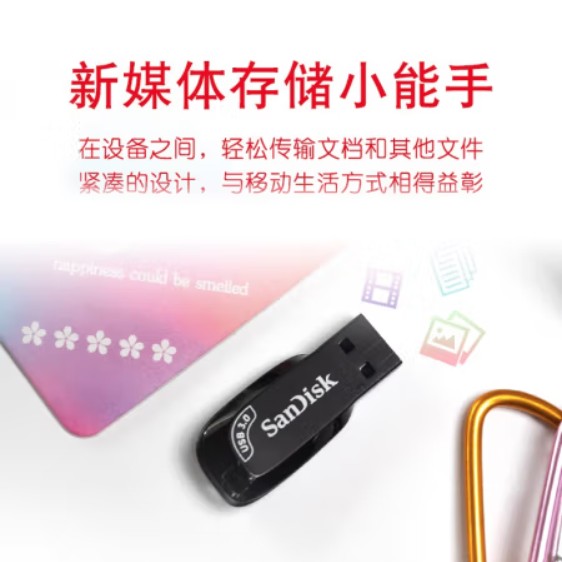 闪迪（SanDisk）256GB USB3.0 U盘 CZ410酷邃 读速100MB/s 小巧便携 密码保护 商务办公学习优选